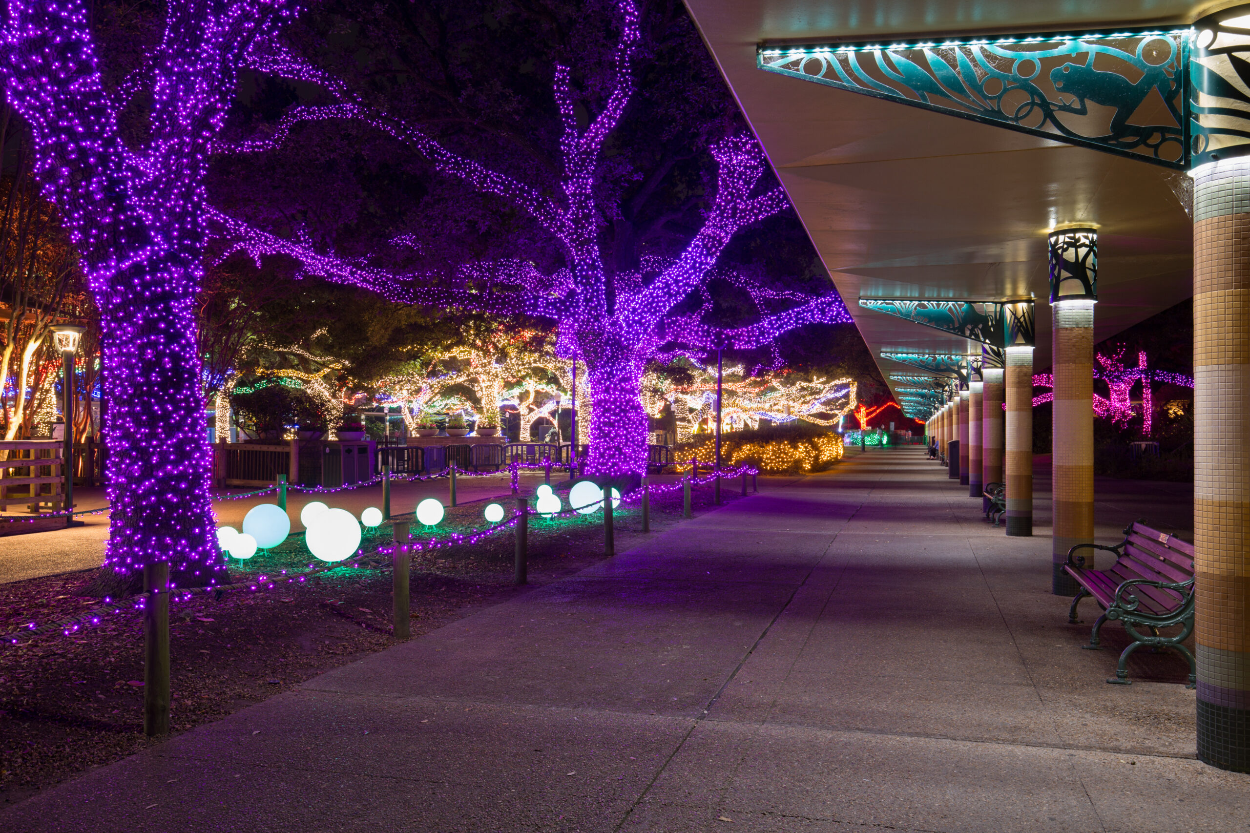 Holiday Festive Lights In Houston, Texas