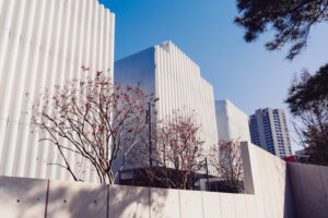 the outside of a museum in houston